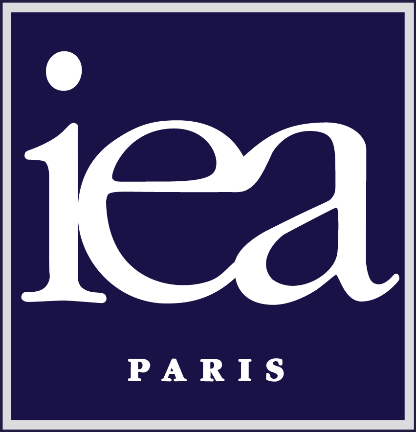 Sous titrage vidéo effectué par l'agence de Cetadir pour la IEA Paris